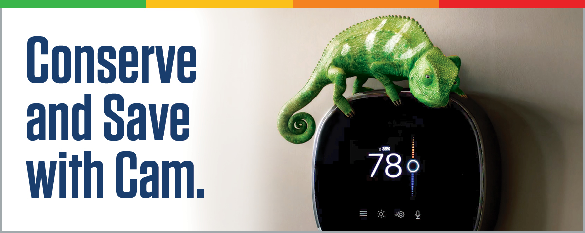 Conserve and Save with Cam Summer season conserve and save with Cam.