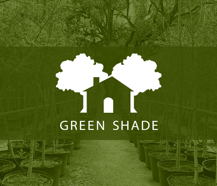 Green Shade Tree Rebate